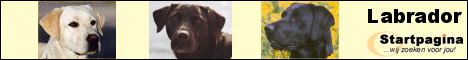 Labrador Startpagina